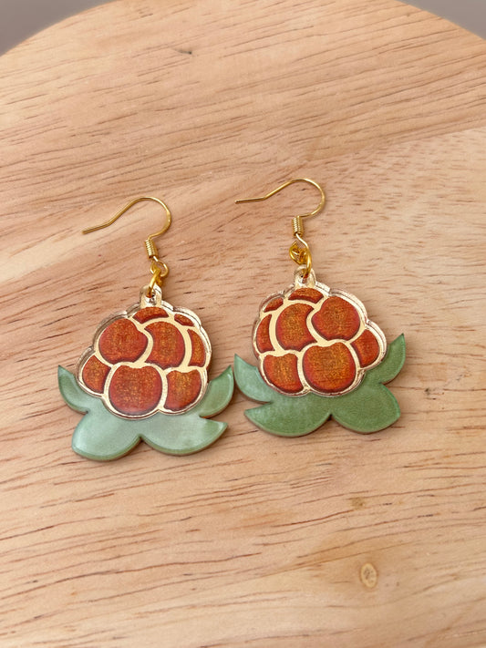 Akpik earrings